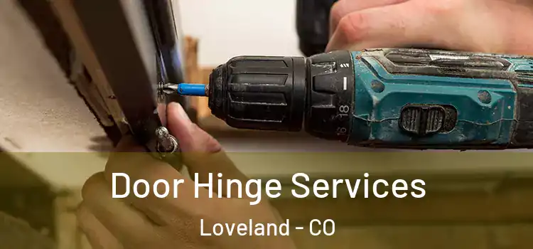 Door Hinge Services Loveland - CO