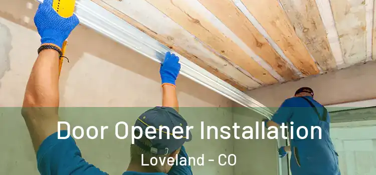  Door Opener Installation Loveland - CO