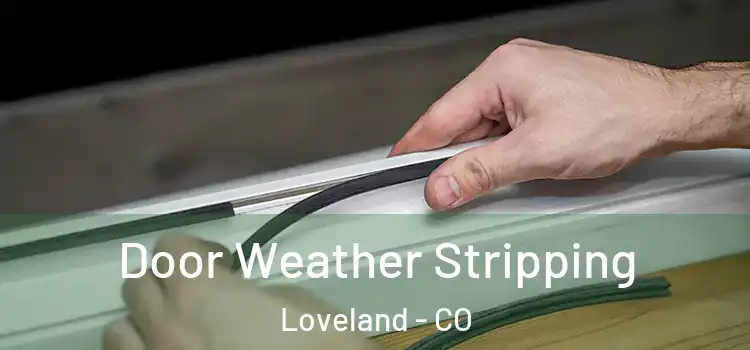 Door Weather Stripping Loveland - CO