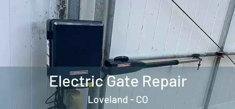  Electric Gate Repair Loveland - CO