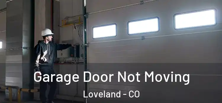  Garage Door Not Moving Loveland - CO