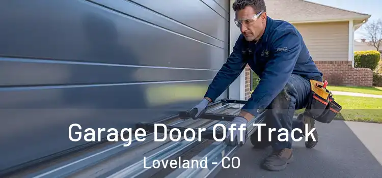  Garage Door Off Track Loveland - CO
