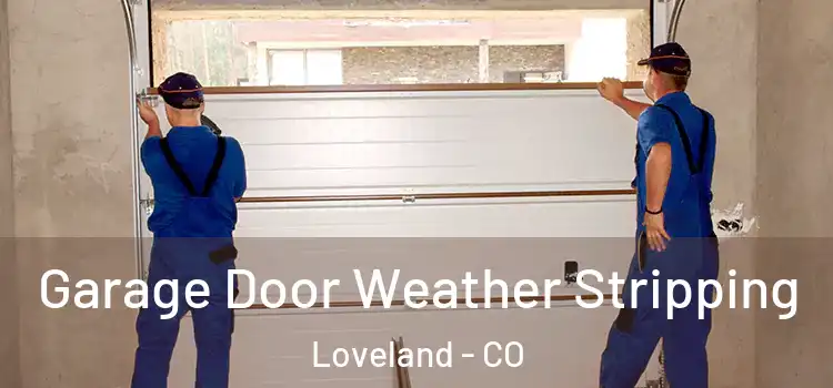  Garage Door Weather Stripping Loveland - CO