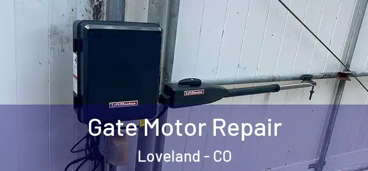  Gate Motor Repair Loveland - CO
