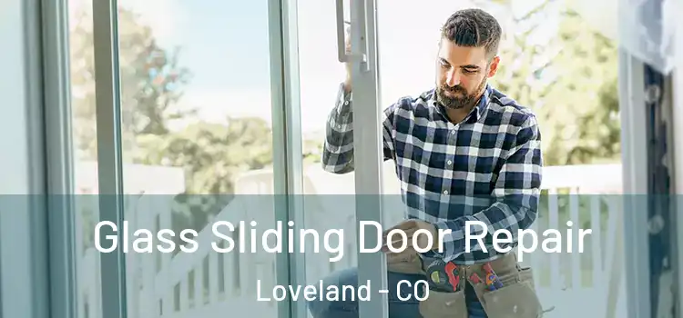  Glass Sliding Door Repair Loveland - CO