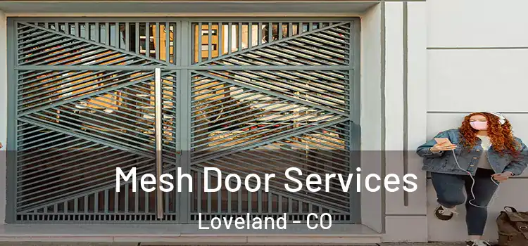 Mesh Door Services Loveland - CO
