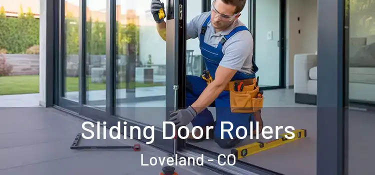  Sliding Door Rollers Loveland - CO